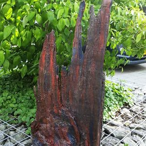 harm kunst hout